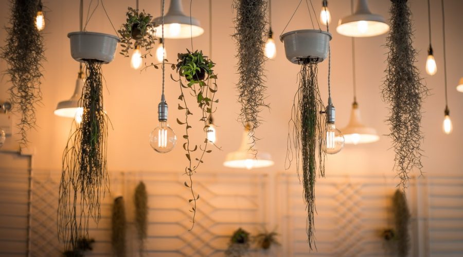 lampa wisząca Italux